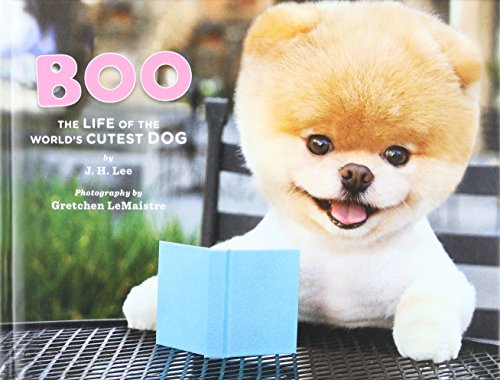 Boo: The Life of the World's Cutest Dog