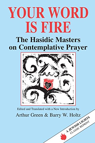 Your Word is Fire: The Hasidic Masters on Contemplative Prayer (A Jewish Lights Classic Reprint)