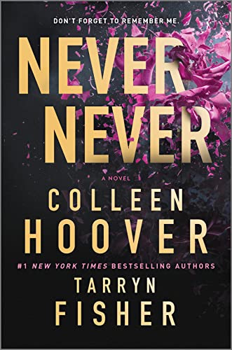 Never Never: A Romantic Suspense Novel of Love and Fate