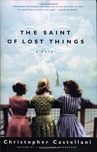 The Saint of Lost Things: A Novel