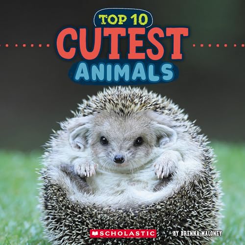 Cutest Animals (Wild World: Top 10)