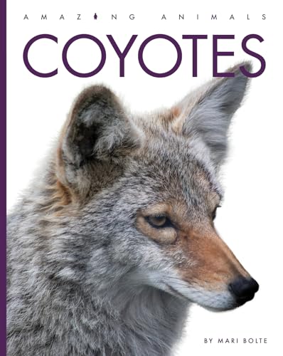 Coyotes (Amazing Animals)