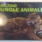 Amazing Jungle Animals