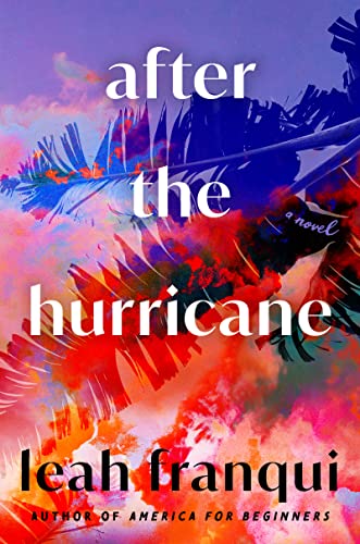 After the Hurricane: A Novel