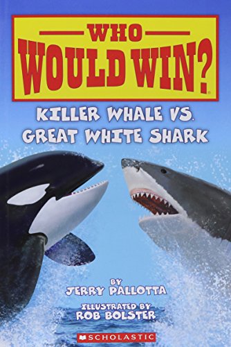 Killer Whale Vs. Great White Shark (Who Would Win?)