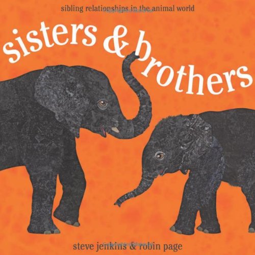 Sisters and Brothers: Sibling Relationships in the Animal World