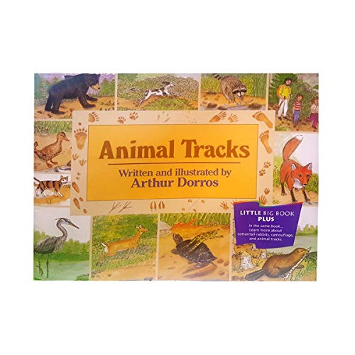 Animal tracks