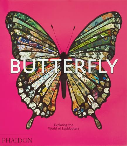 Butterfly: Exploring the World of Lepidoptera