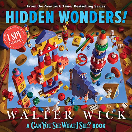 Can You See What I See?: Hidden Wonders (From the Creator of I Spy)