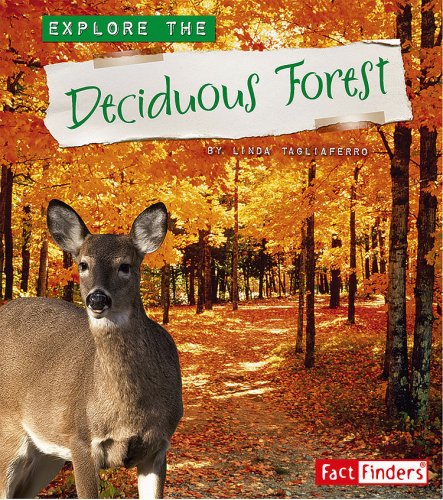 Explore the Deciduous Forest