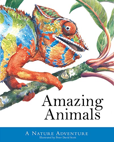 Amazing Animals: A Nature Adventure (Peter David Scott)
