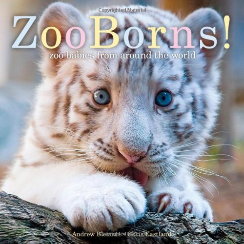 ZooBorns!: Zoo Babies from Around the World