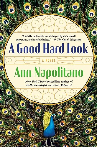 A Good Hard Look: A Novel of Flannery O'Connor
