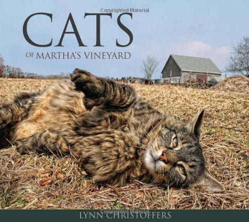 Cats of Martha's Vineyard