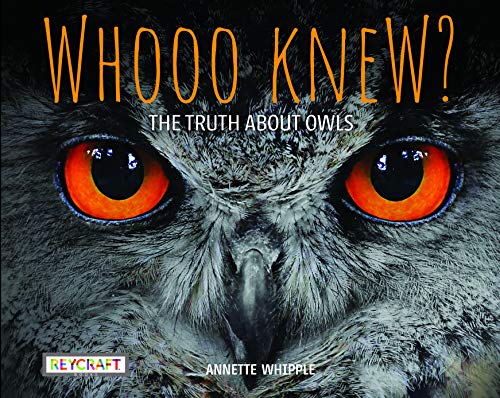 Whooo Knew? The Truth About Owls