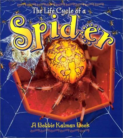 Spider (Life Cycle of A...(Paperback))