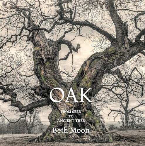 Oak: From Seed to Ancient Tree