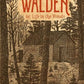 The Illustrated Walden: or, Life in the Woods