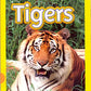 Tigers: National Geographic Kids