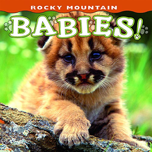 Rocky Mountain Babies! (Babies! (Farcountry Press))