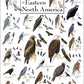 Earth Sky + Water: Sibley’s Raptors of Eastern North America Poster