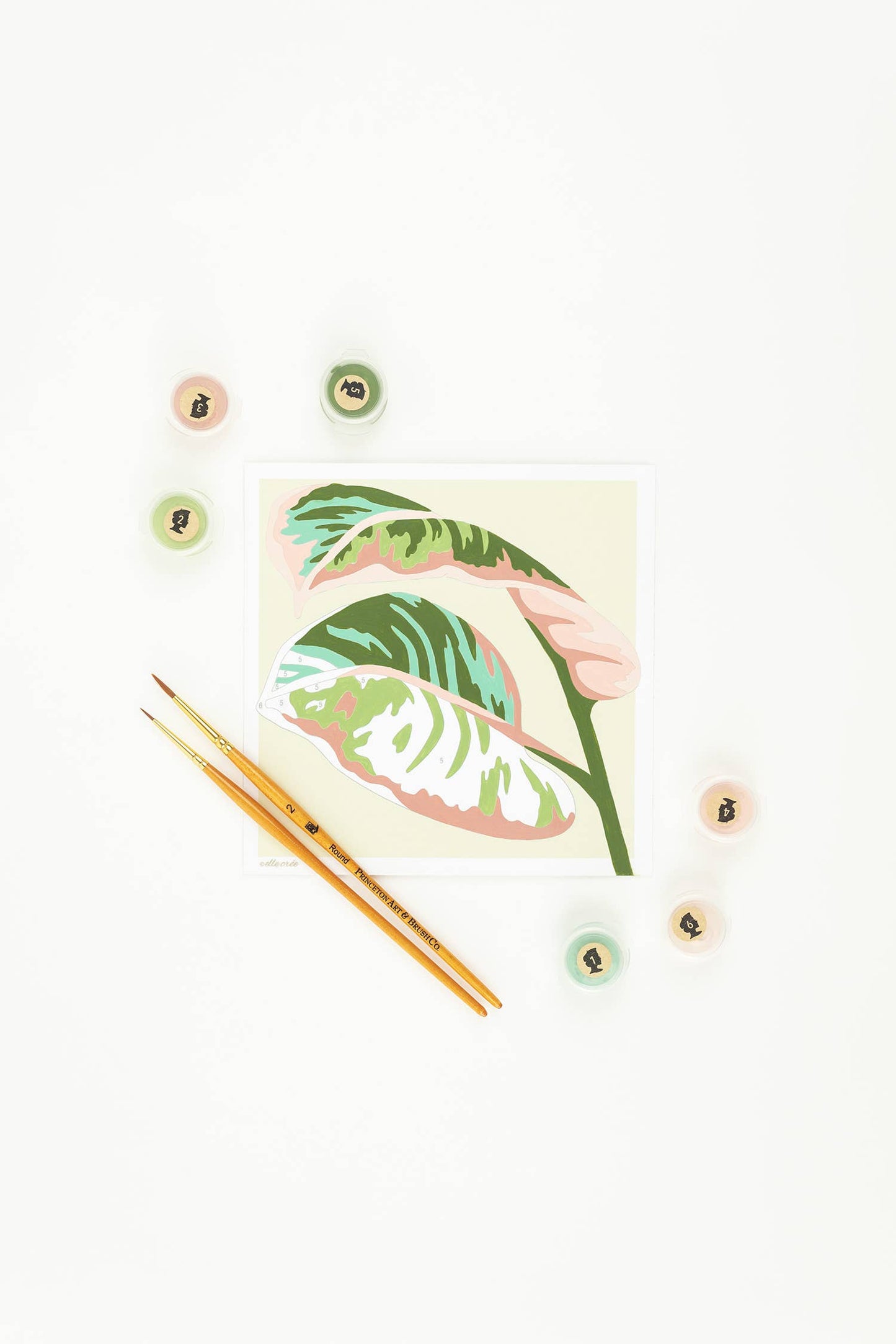 Elle Crée (She Creates): Rubber Plant Leaves MINI Paint-by-Number Kit