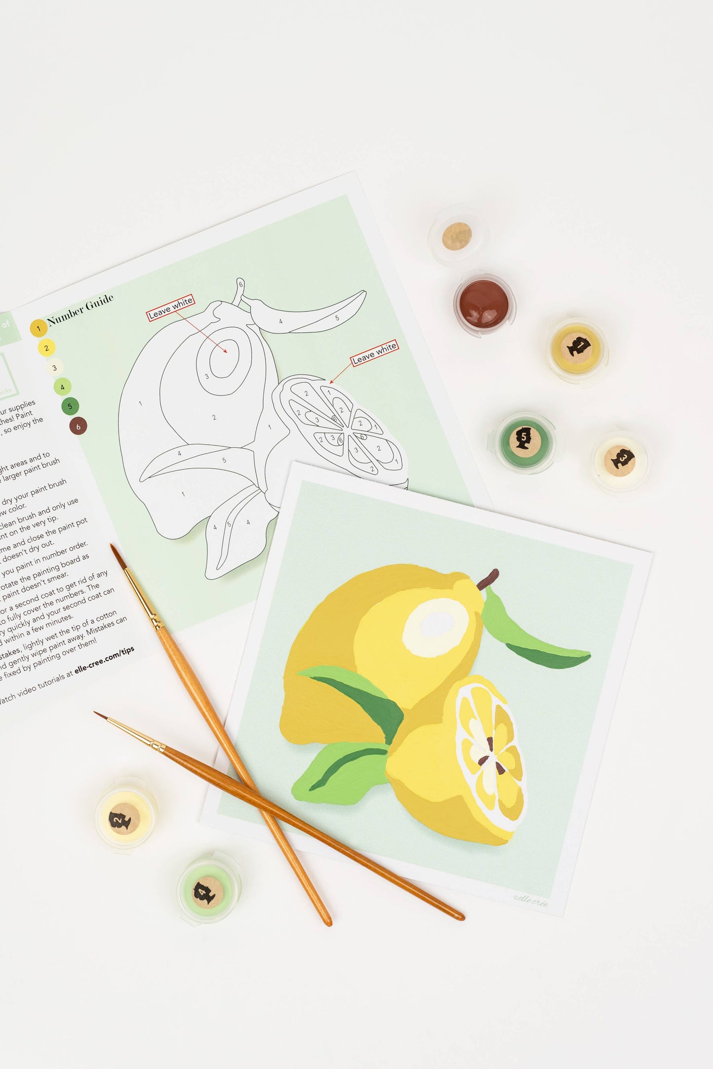 Elle Crée (She Creates):  Lemons MINI Paint-by-Number Kit