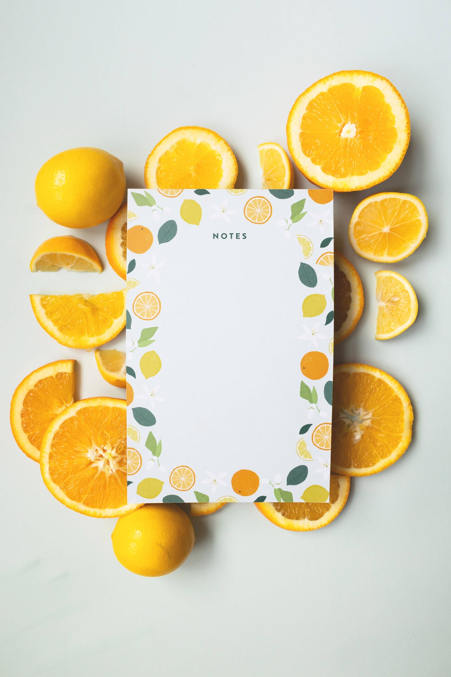 Joy Paper Co.: Citrus & Botanical Notes Notepad