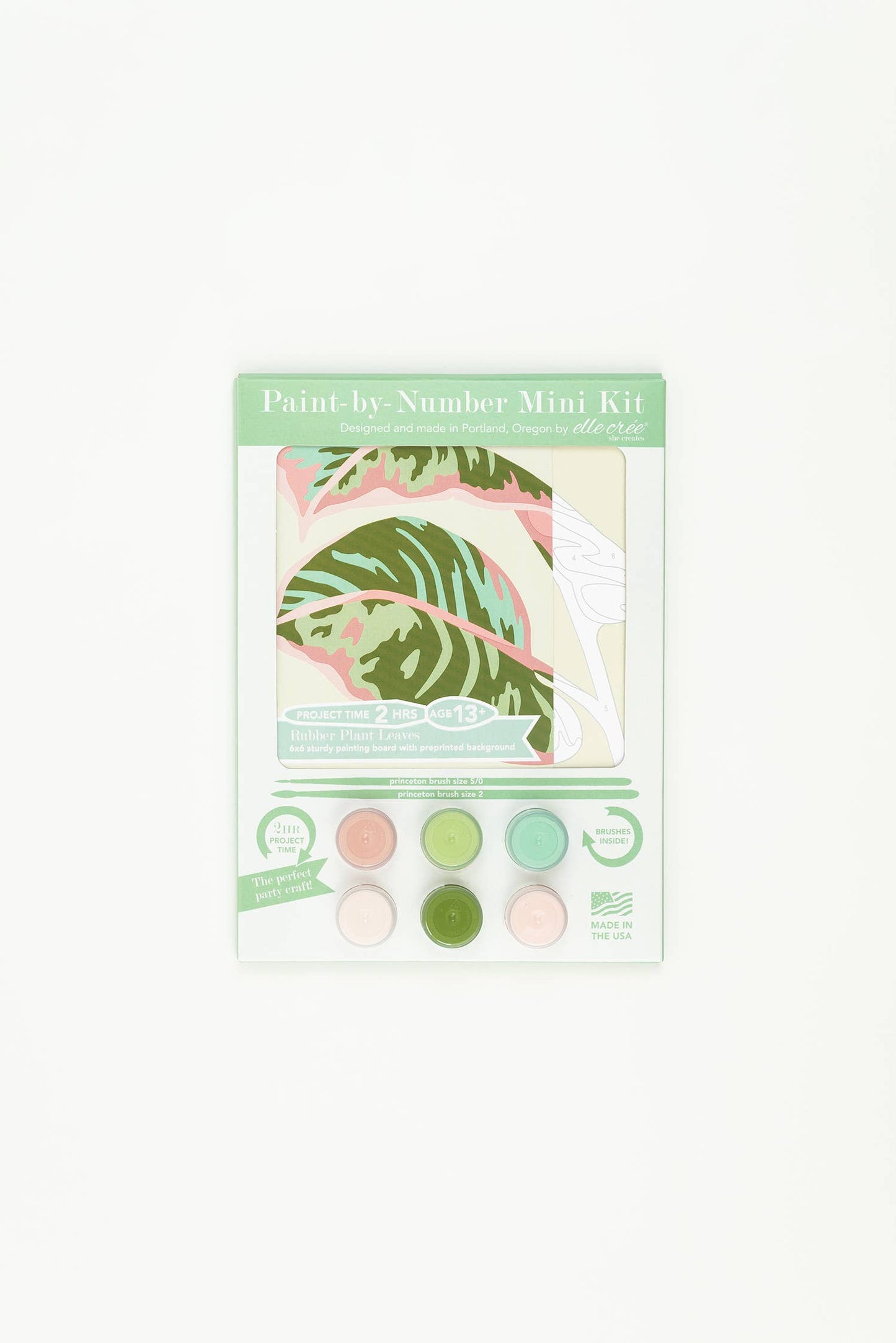 Elle Crée (She Creates): Rubber Plant Leaves MINI Paint-by-Number Kit