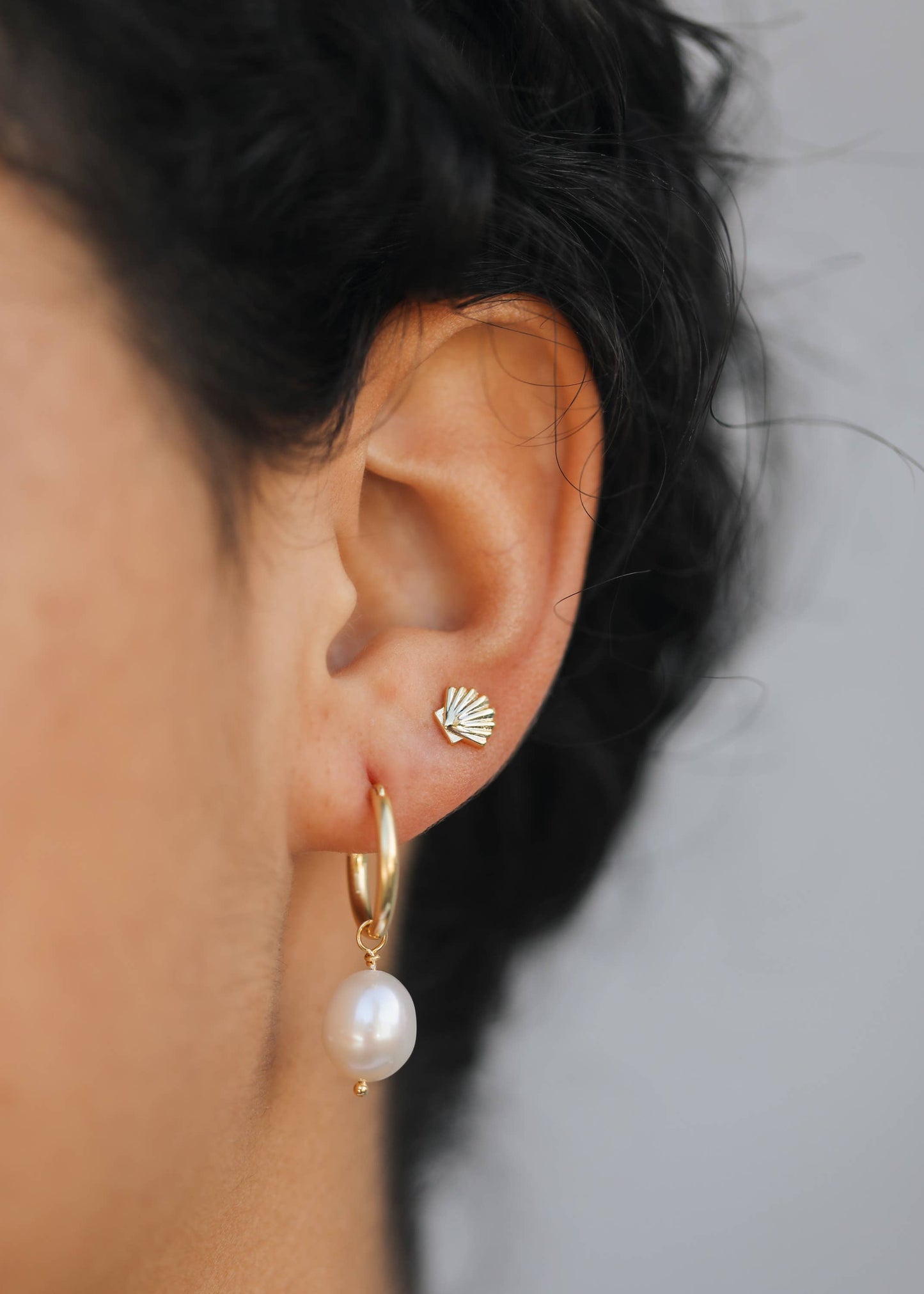 JaxKelly: Seashell - Gold Earrings