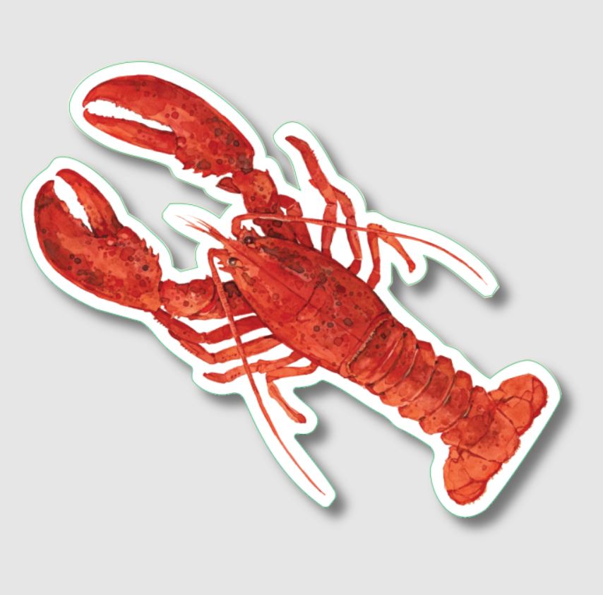 Earth Sky + Water: Red Lobster Sticker