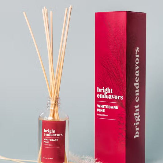 Bright Endeavors: Reed Diffuser