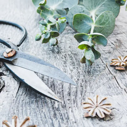 Seattle Seed Co: Forged Steel Pruning Shears