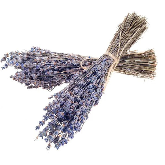 Seattle Seed Co: Dried French Lavender Bundles