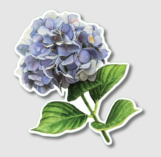 Earth Sky + Water: Hydrangea Sticker