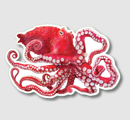 Earth Sky + Water: Giant Pacific Octopus Sticker