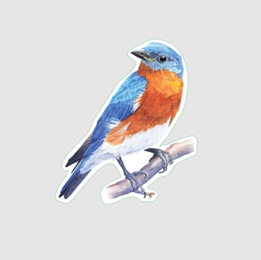 Earth Sky + Water: Bluebird Sticker