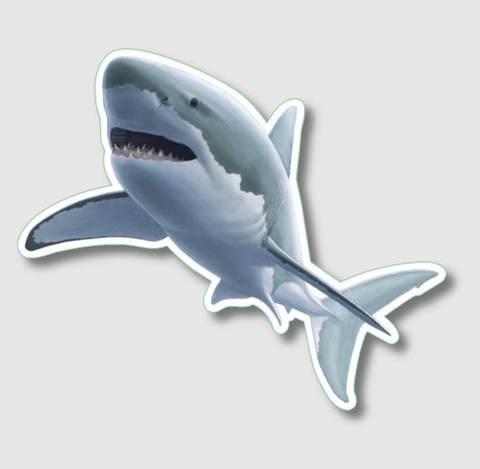 Earth Sky + Water: Great White Shark I Sticker