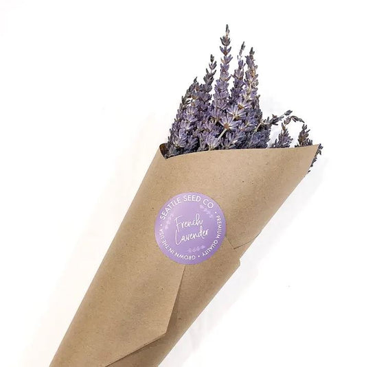 Seattle Seed Co: Dried French Lavender Bundles