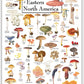 Earth Sky + Water: Mushrooms of Eastern North America Poster