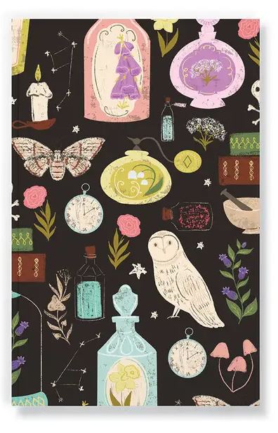 Denik: Owls & Potions Classic Layflat Journal Notebook