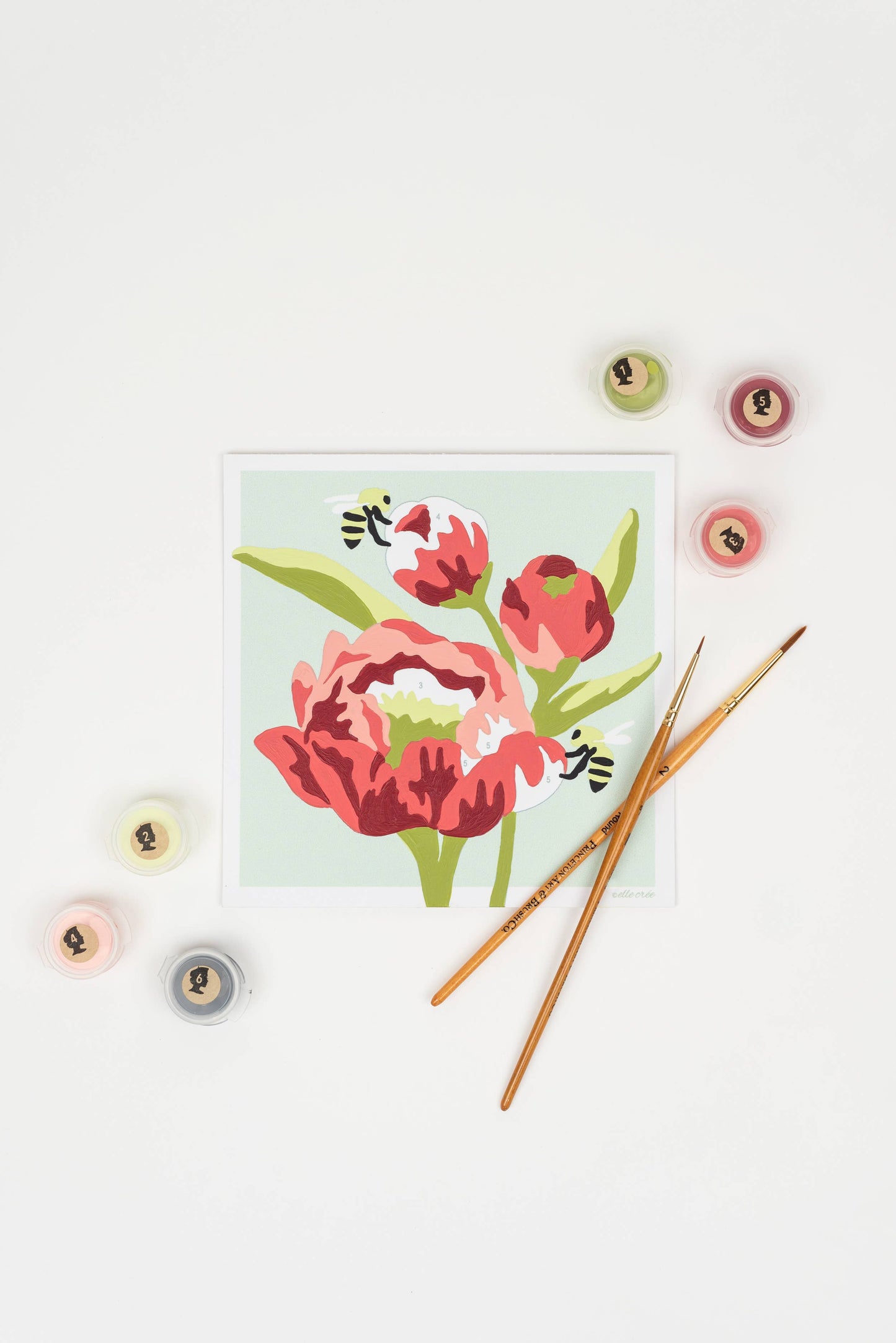 Elle Crée (She Creates): Peonies MINI Paint-by-Number Kit