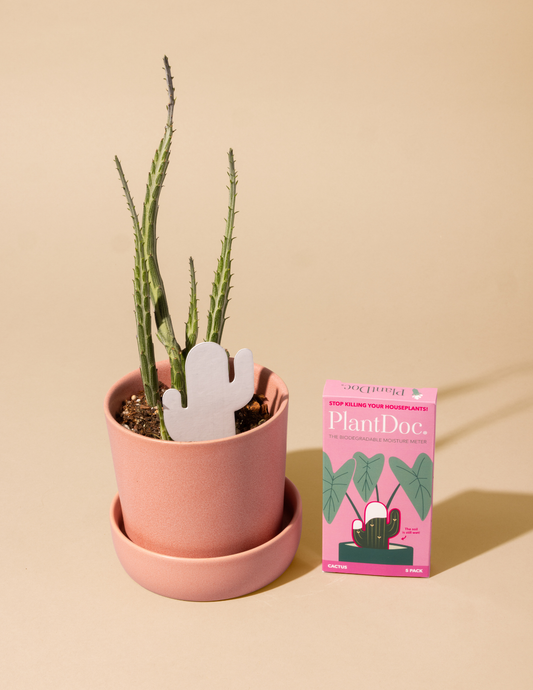 Daphne's Botanicals: Cactus PlantDoc: Color-Change Plant Moisture Meter