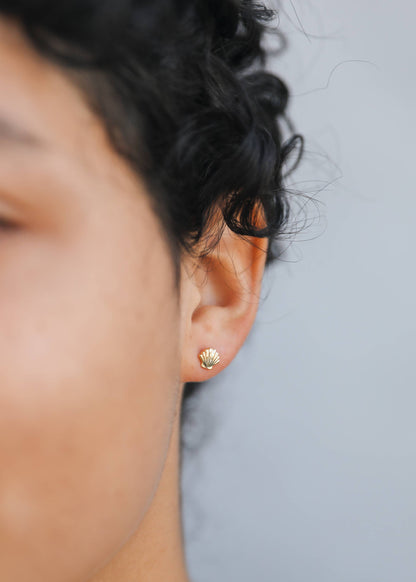 JaxKelly: Seashell - Gold Earrings