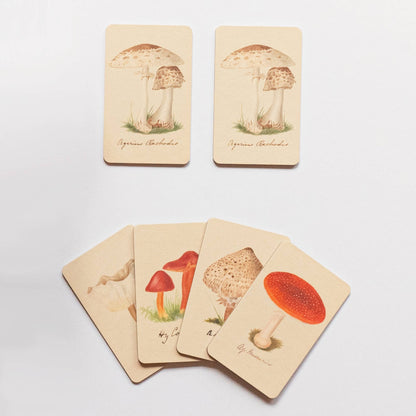 Roomytown Inc: Matching Game (Fungi)