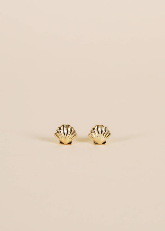 JaxKelly: Seashell - Gold Earrings