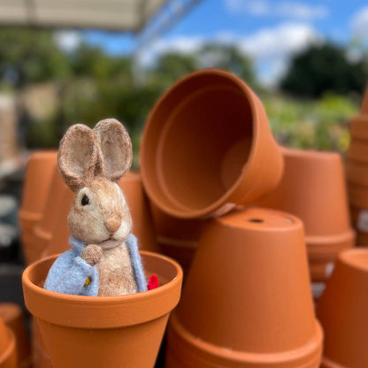 The Crafty Kit Company:  Beatrix Potter - Peter Rabbit and his Pocket Handkerchief