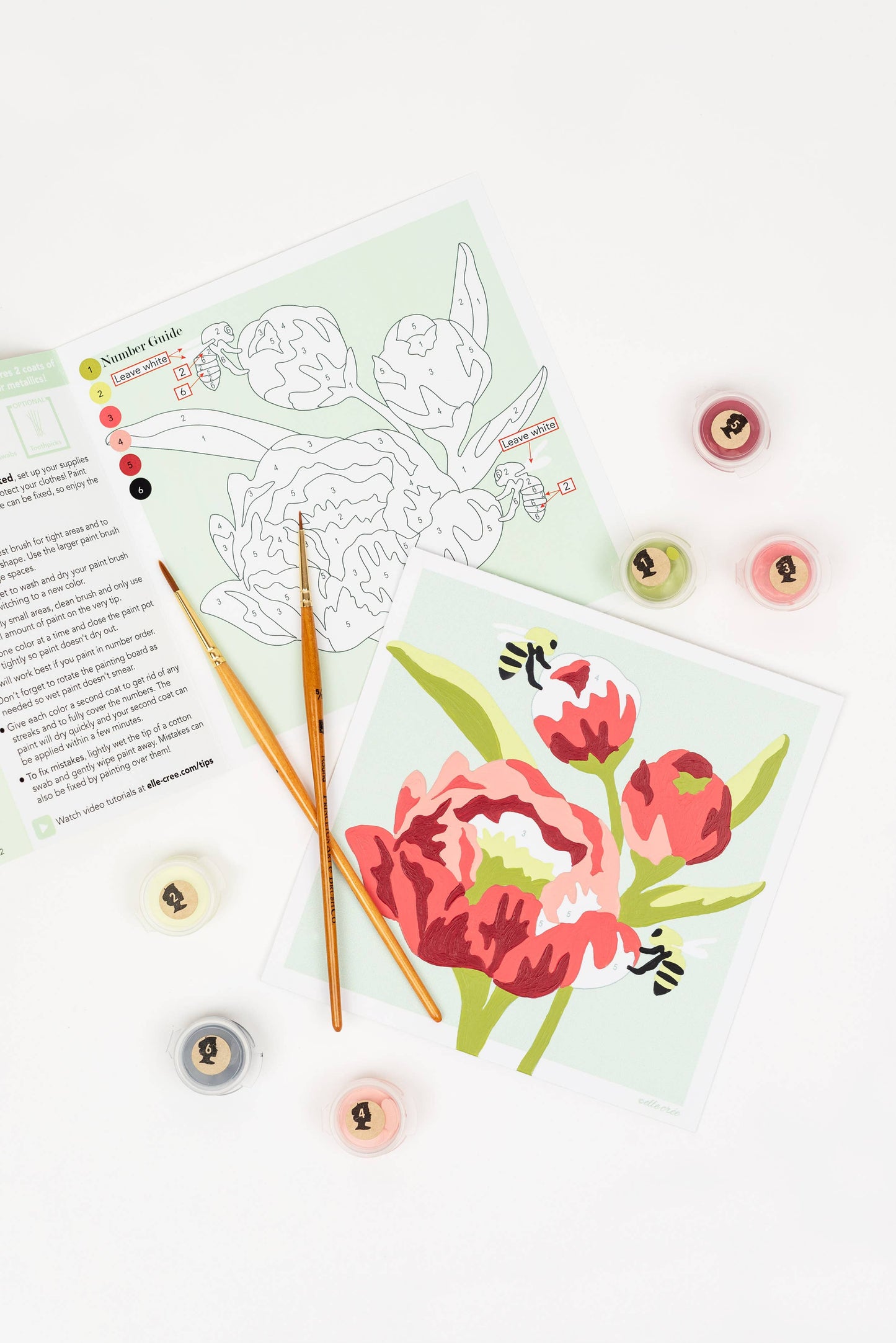 Elle Crée (She Creates): Peonies MINI Paint-by-Number Kit