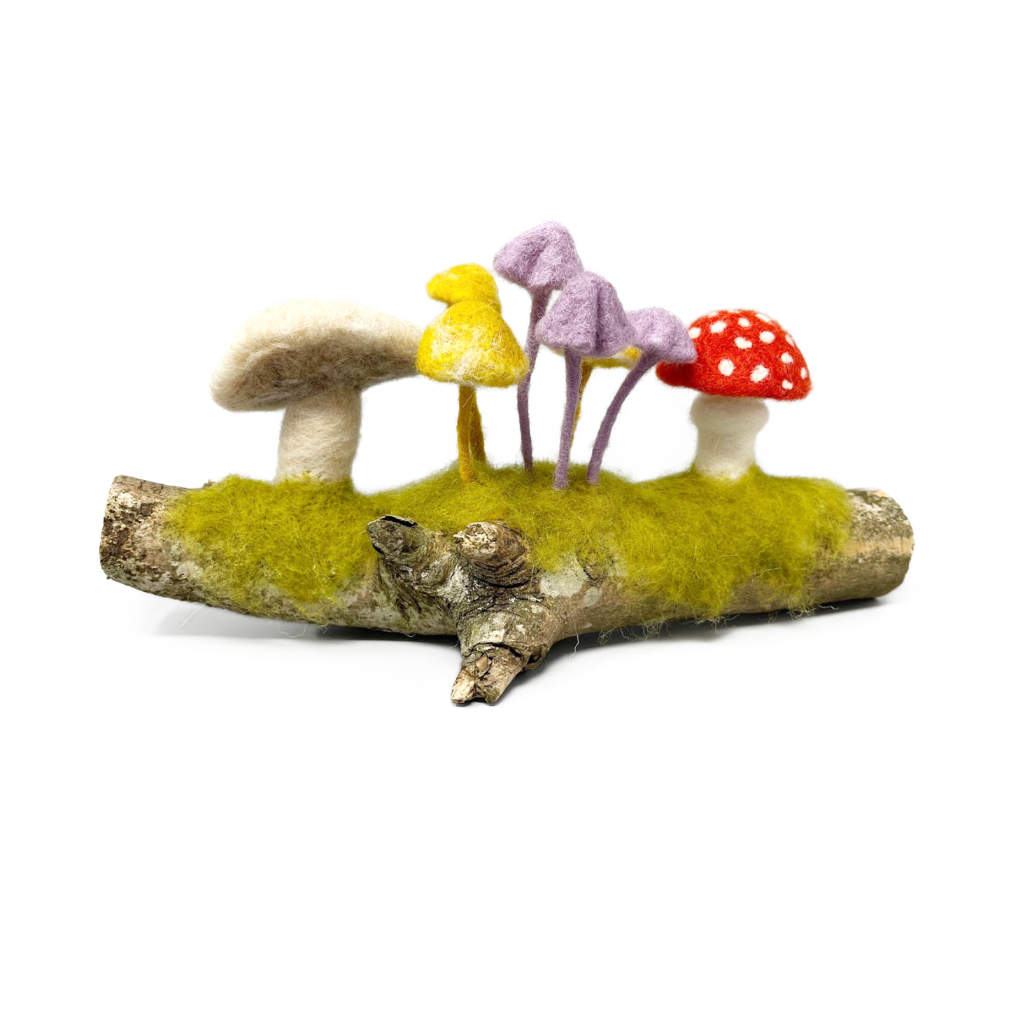 The Crafty Kit Company: Woodland Toadstools Needle Felting Craft Kit