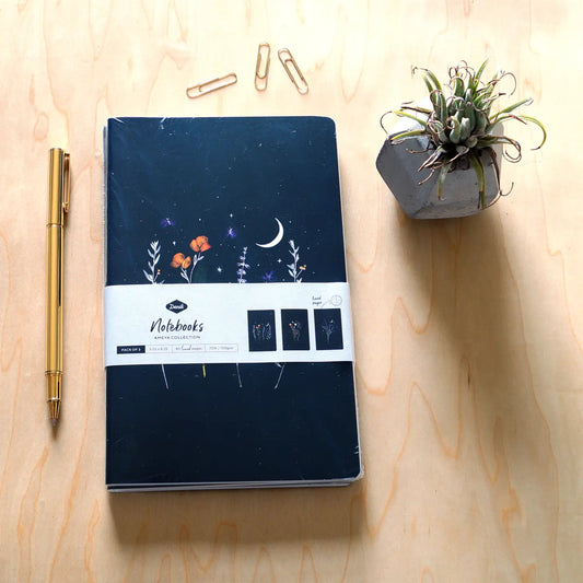 Denik: Ameya's Realm Skinny Notebooks Bundle (Pack of 3)